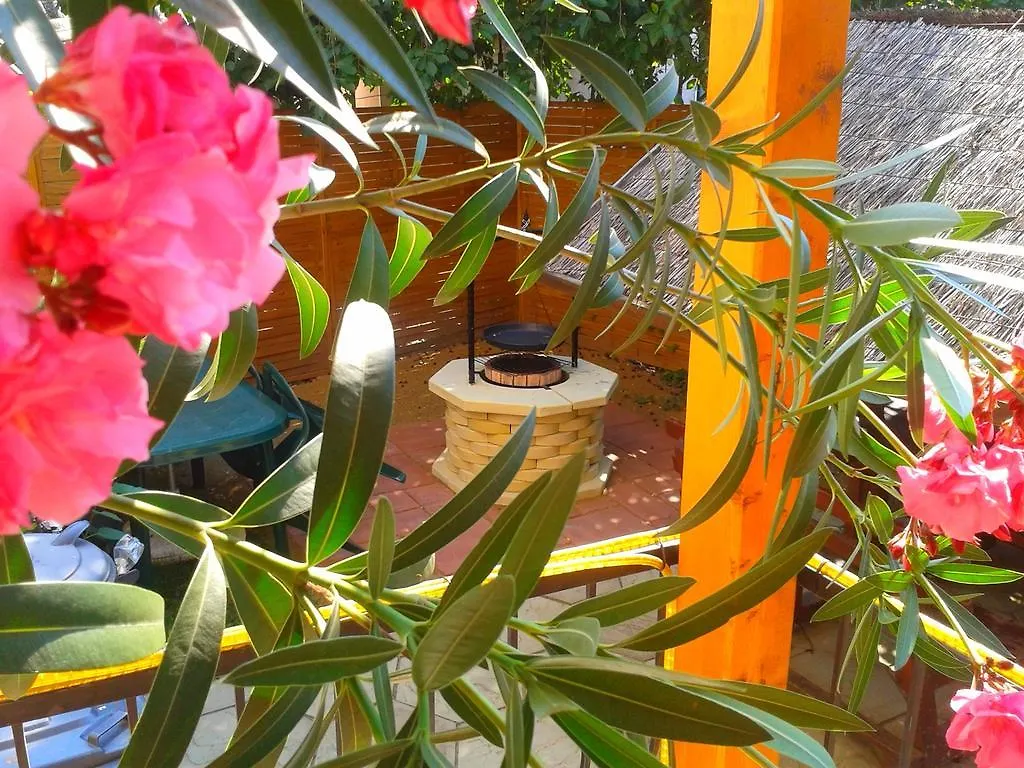 Deak Vendeghaz Apartman Hotel Hajduszoboszlo Guest house