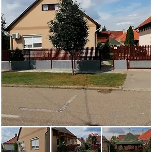  Pensjonat Vida Vendeghaz